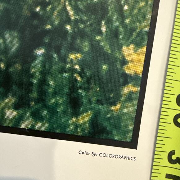 Braniff International Airlines Poster Percival's Europe Retro Advertisement 31" - Picture 6 of 9